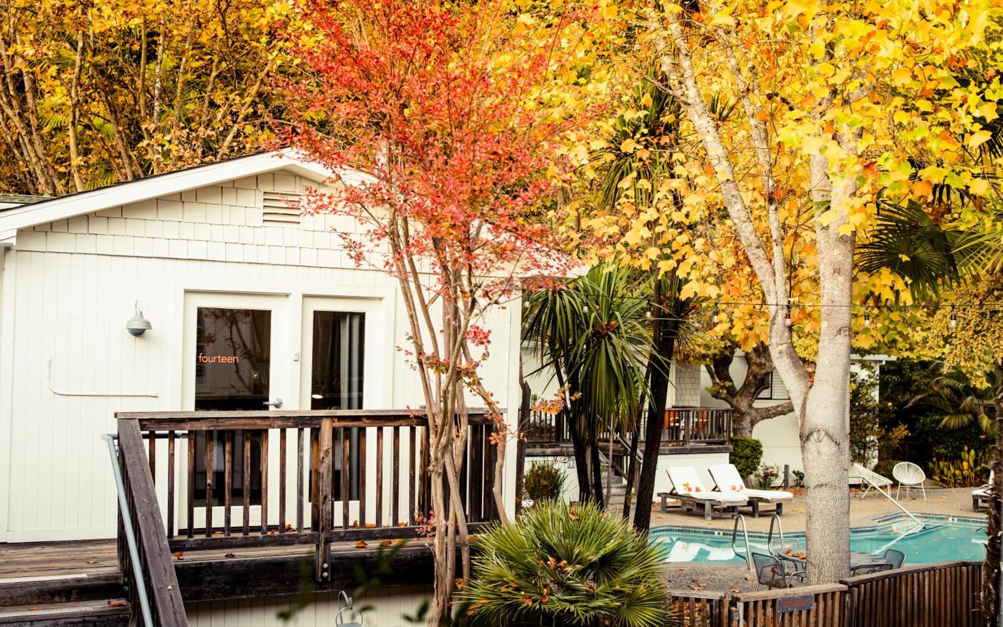 Boon Hotel + Spa - Adults Only Guerneville Room photo